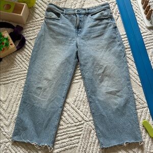 Madewell the perfect vintage Women's Wide Leg crop Jeans
